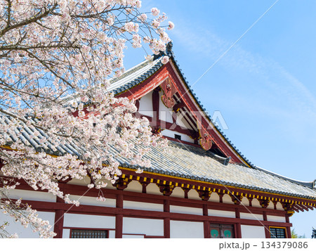【奈良県】大和郡山市 矢田寺(金剛山寺) (2025/04/09撮影) 134379086