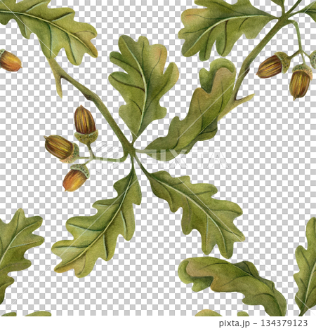 Autumn seamless pattern with acorns on a branch. Watercolor illustrations. Hand-drawn realistic oak tree with brown nuts on a branch. Isolated on a transparent background. For scrapbooking, textiles. 134379123