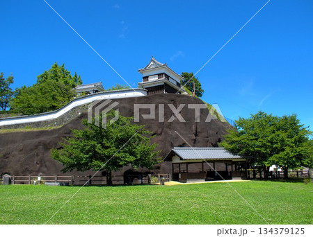 大分県 臼杵城跡 134379125