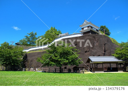 大分県 臼杵城跡 134379176