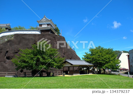 大分県 臼杵城跡 大分県 臼杵城跡 134379237