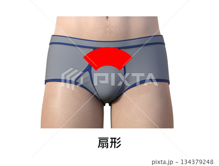 男性の美容脱毛 Vラインの処理方法と種類 扇形 134379248