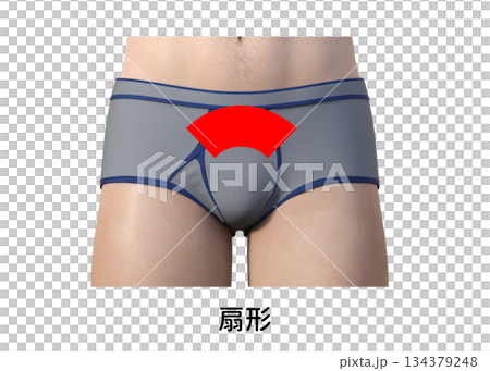 男性の美容脱毛 Vラインの処理方法と種類 扇形 134379248