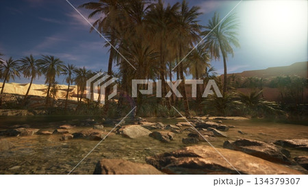A peaceful oasis unfolds under a bright sky, where tall palm trees gently sway. Sunlight glimmers on the clear water, inviting relaxation and reflection amidst the beauty of nature. 134379307