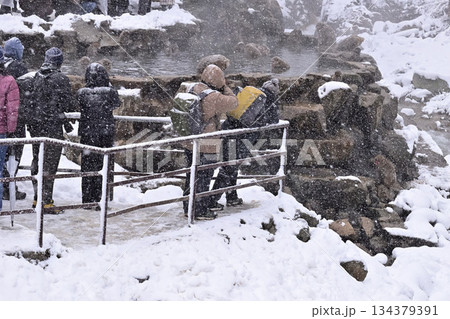 地獄谷野猿公苑の温泉に入るニホンザルの写真を撮る人 冬 134379391