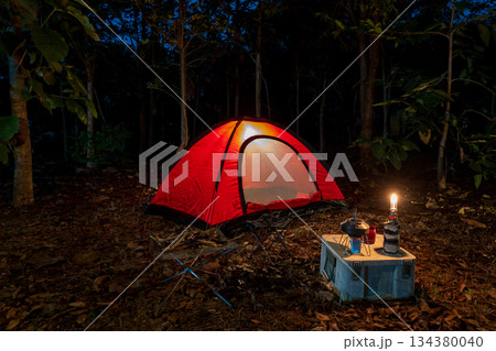 A tent set up in a green forest at night for outdoor camping and adventure 134380040
