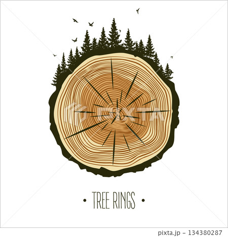 Round tree trunk cut with trees, forest and birds. Sawn pine or oak slice, lumber. Saw cut timber, wood. Brown wooden texture with tree rings. Hand drawn sketch. Vector illustration Round tree trunk cut with trees, forest and birds. Sawn pine or oak slice, lumber. Saw cut timber, wood. Brown wooden texture with tree rings. Hand drawn sketch. Vector illustration 134380287