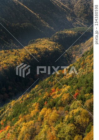紅葉した雄大な御嶽山と溶岩流展望台 紅葉した雄大な御嶽山と溶岩流展望台 134380598