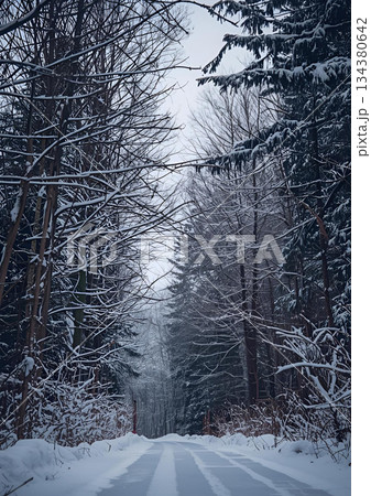 雪が積もった山道 134380642