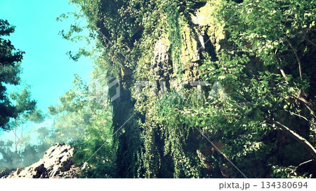 Vibrant green vines cascade down jagged rocks as sunlight filters through the trees. Nature thrives in a serene setting, showcasing the beauty of the outdoors on a clear day. Vibrant green vines cascade down jagged rocks as sunlight filters through the trees. Nature thrives in a serene setting, showcasing the beauty of the outdoors on a clear day. 134380694