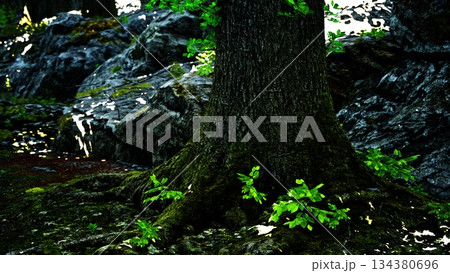 Roots of a strong tree spread across a rocky ground, while vibrant green leaves flourish. Soft sunlight filters through the branches, creating a serene atmosphere in the wilderness. 134380696