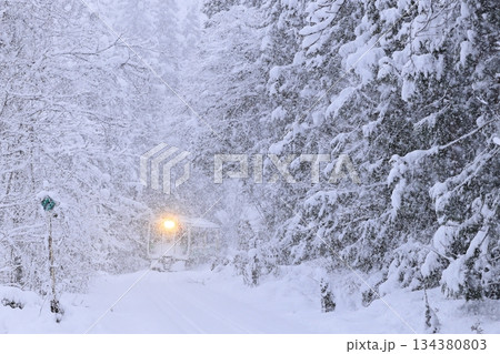 猛吹雪の只見線 134380803