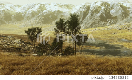 A picturesque scene unfolds with a calm lake surrounded by rocky mountains under a soft, hazy sky. Lush trees stand by the waters edge, reflecting natures beauty at dawn. 134380812