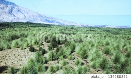 Bright green grasses cover the ground in this expansive landscape, with distant mountains framing the horizon. The scene showcases natures beauty on a sunny day, inviting exploration. 134380831