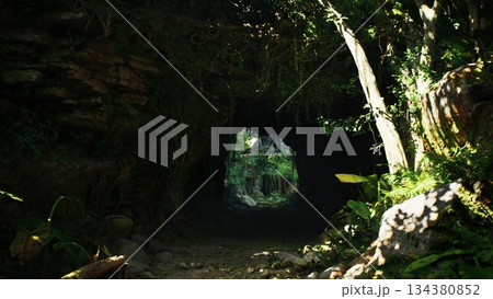 Hidden behind rocky formations, a dark cave leads to a stunning view of vibrant greenery. Sunlight filters through, illuminating the path and surrounding foliage. Natures beauty unfolds invitingly. 134380852