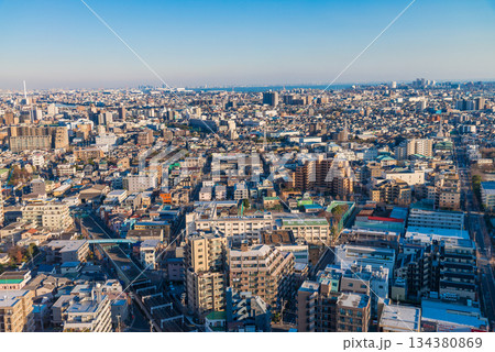 (東京都)東京都市風景 墨田区・江東区・江戸川区 夕景 (東京都)東京都市風景 墨田区・江東区・江戸川区 夕景 134380869