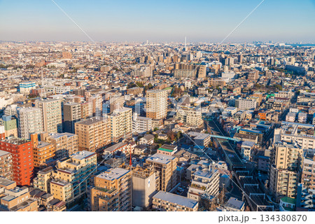 （東京都）東京都市風景　墨田区・江東区・江戸川区　夕景 134380870