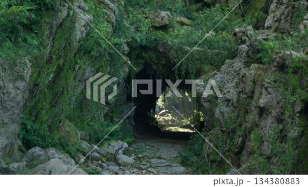 A secret cave entrance invites adventure, draped in vibrant green vines and illuminated by soft sunlight. The rocky path leads into a hidden world waiting to be discovered. 134380883