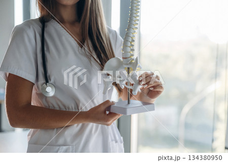 Holding spine model. Professional female doctor in the clinic indoors Holding spine model. Professional female doctor in the clinic indoors 134380950