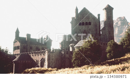 A stunning castle stands atop a green hillside, bathed in warm sunlight. Surrounding fields of golden grass sway gently in the breeze, creating a peaceful and idyllic scene. A stunning castle stands atop a green hillside, bathed in warm sunlight. Surrounding fields of golden grass sway gently in the breeze, creating a peaceful and idyllic scene. 134380971