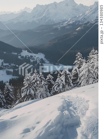 雪山を登る登山者 134380985