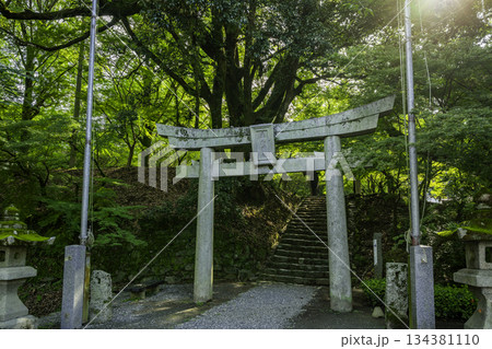 秋月 垂裕神社 鳥居 福岡県朝倉市 秋月 垂裕神社 鳥居 福岡県朝倉市 134381110