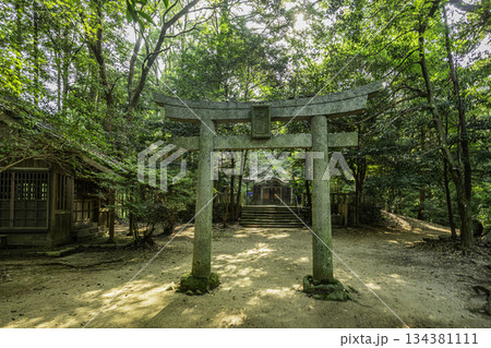 秋月　垂裕神社　鳥居　福岡県朝倉市 134381111