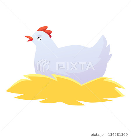 Poultry chicken bird sits on the hay and nests vector flat icon, cartoon farm fowl white hen, country animal for food 134381369