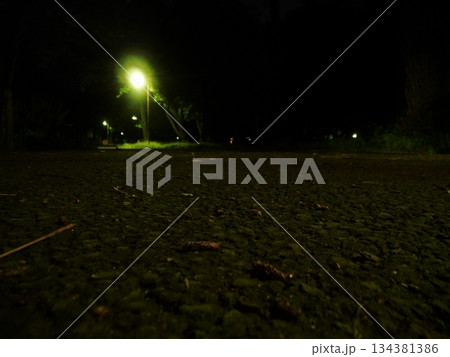 深夜の街頭に照らされた公園の石畳 134381386
