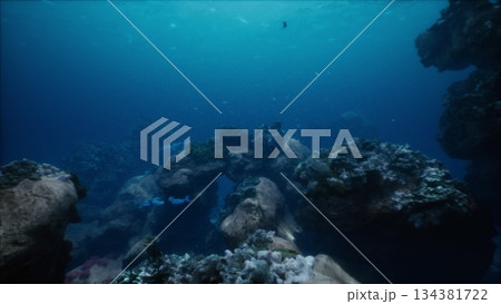 Underwater scene showcases a beautiful coral reef teeming with colorful fish and intricate rock formations. Sunlight filters through crystal clear water, enhancing the marine wonder. Underwater scene showcases a beautiful coral reef teeming with colorful fish and intricate rock formations. Sunlight filters through crystal clear water, enhancing the marine wonder. 134381722