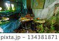 In a forgotten space, a rustic table is overrun by plants and leaves, revealing the passage of time. Sunlight filters through cracked walls, creating a serene yet eerie atmosphere. 134381871