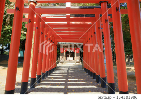 九州熊本県　水前寺成趣園内の稲荷神社末社の鳥居 134381986