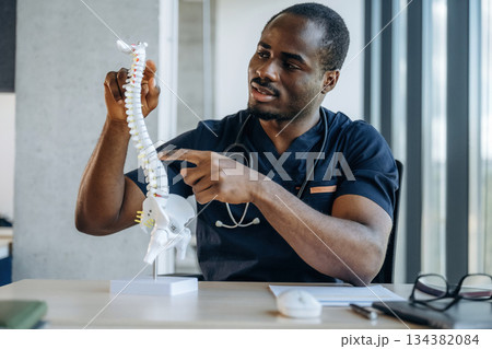 Spine model. Professional doctor is in his office indoors Spine model. Professional doctor is in his office indoors 134382084