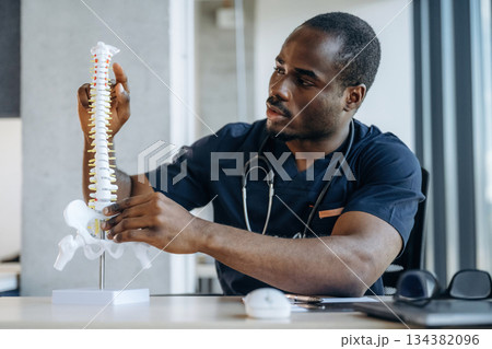 Spine model. Professional doctor is in his office indoors 134382096