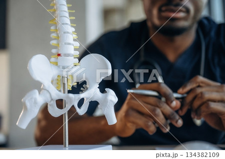 Close up view of spine model that is on the table. Professional doctor is in his office indoors Close up view of spine model that is on the table. Professional doctor is in his office indoors 134382109