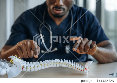 Educational stuff. Model of human spine. Professional doctor is in his office indoors Educational stuff. Model of human spine. Professional doctor is in his office indoors 134382125