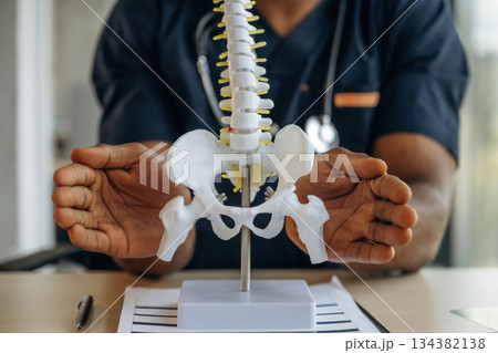 Human spine toy model on the table. Professional doctor is in his office indoors 134382138