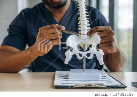 Table with human spine model on it. Professional doctor is in his office indoors Table with human spine model on it. Professional doctor is in his office indoors 134382158