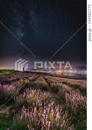 星降るラベンダー畑と天の川｜日の出公園ラベンダー園 134382773