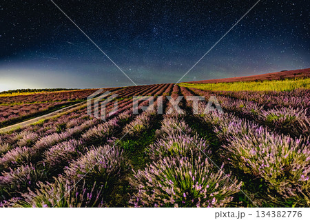 星空に包まれるラベンダー畑｜北海道・日の出公園 134382776