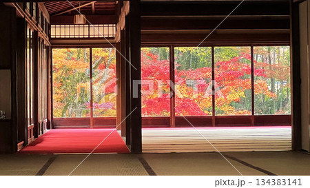 南禅寺天授庵の紅葉の風景 134383141