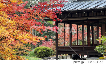 南禅寺天授庵の紅葉の風景 134383143
