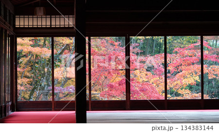 南禅寺天授庵の紅葉の風景 134383144
