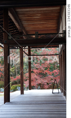 南禅寺天授庵の紅葉の風景 南禅寺天授庵の紅葉の風景 134383146