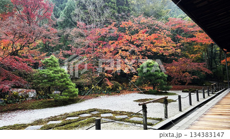 南禅寺天授庵の紅葉の風景 南禅寺天授庵の紅葉の風景 134383147