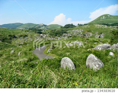 初夏のカルスト 初夏のカルスト 134383610