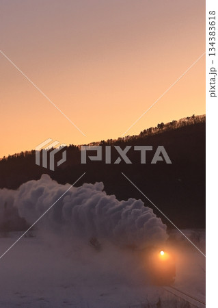 雪景色の磐越西線SL 134383618