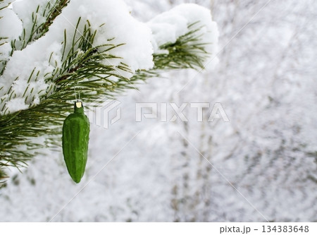 Christmas tree toy green cucumber hanging on snow-covered pine branch. Christmas natural winter background, copy space. Christmas tree toy green cucumber hanging on snow-covered pine branch. Christmas natural winter background, copy space. 134383648