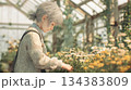 Elderly Woman Tending Flowers in a Sunny Greenhouse 134383809