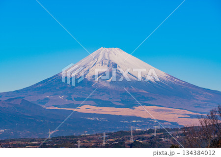 【静岡県】伊豆から眺める富士山 134384012